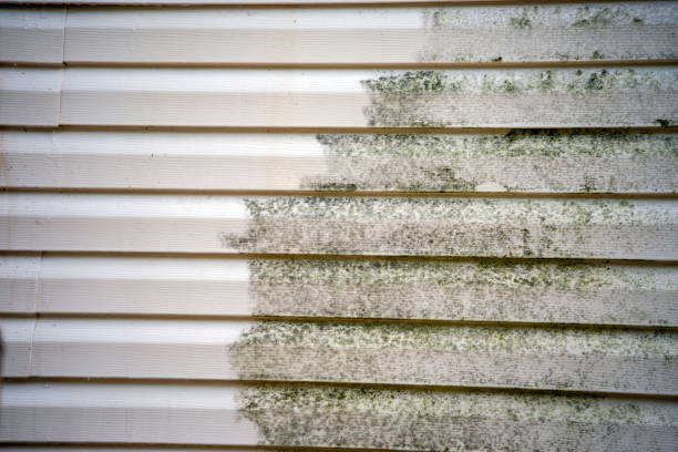 Best Fiber Cement Siding Installation  in Iceville, AL