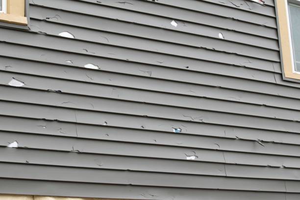 Best Custom Siding Design  in Iceville, AL