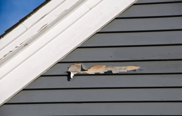 Best Residential Vinyl Siding Installation  in Iceville, AL