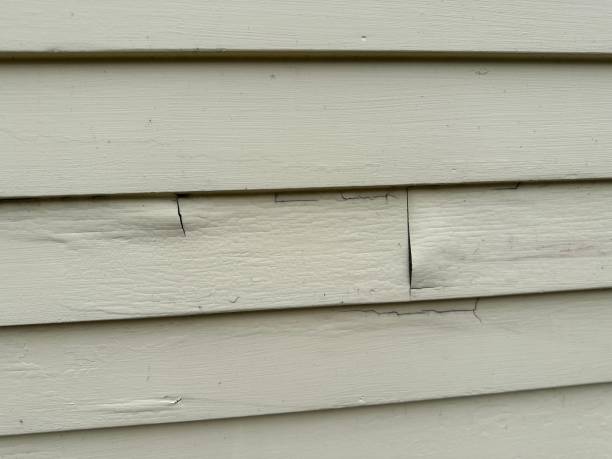Best Steel Siding Installation  in Iceville, AL